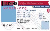 driver license blank template
